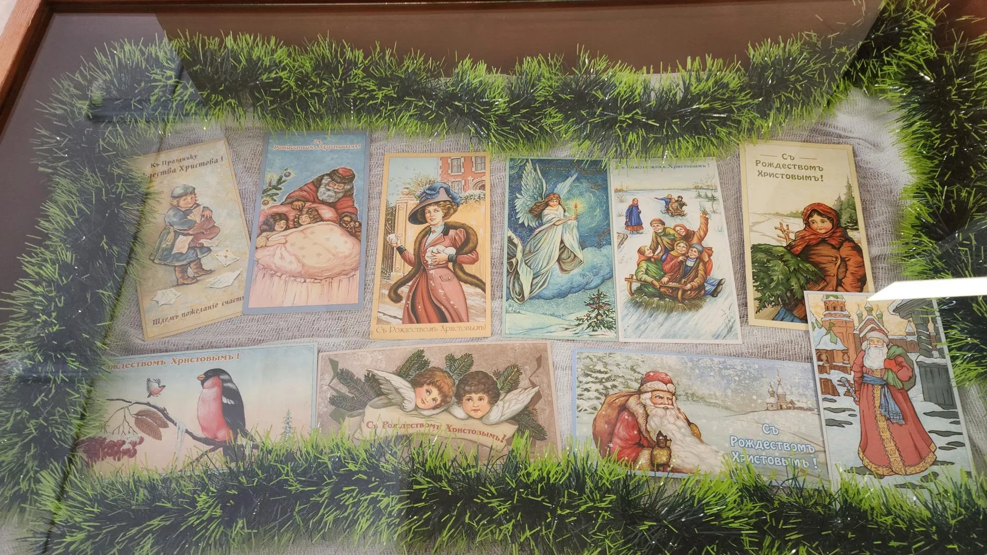 Фото: Нина Басистая