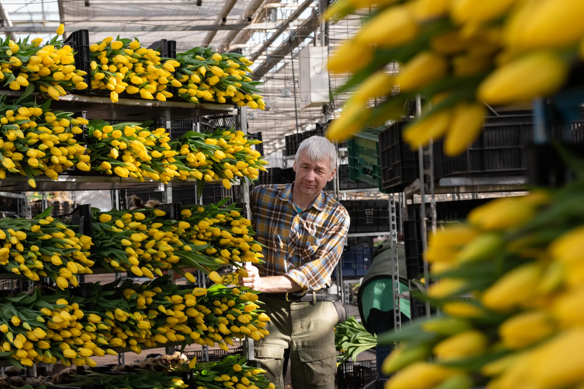 медиасток.рф