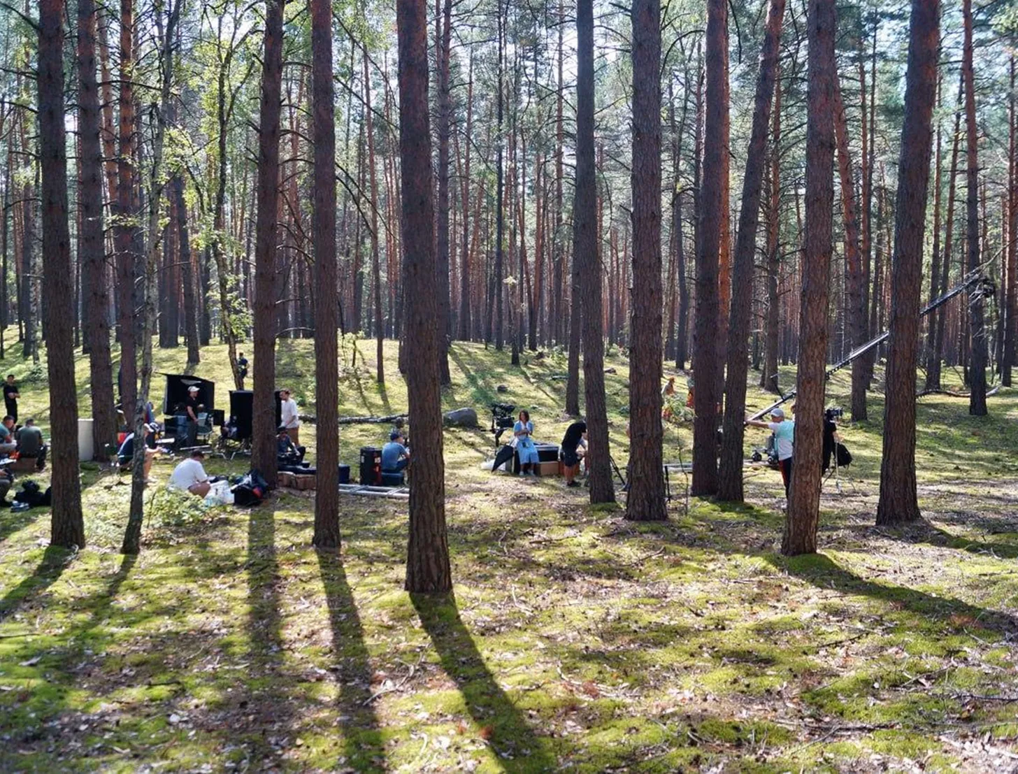 Фото: Комитет лесного хозяйства МО