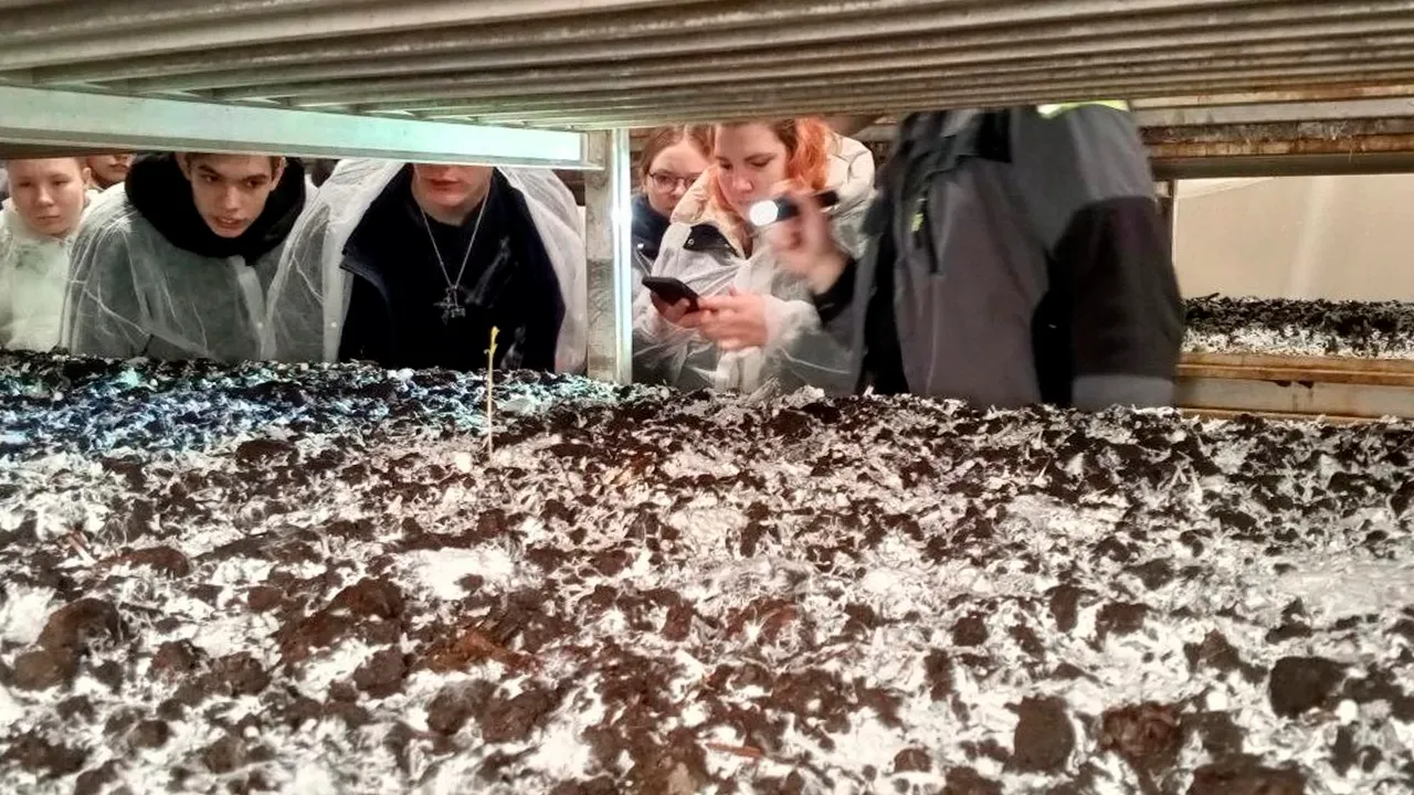 vk.com/Луховицкий аграрно-промышленный техникум