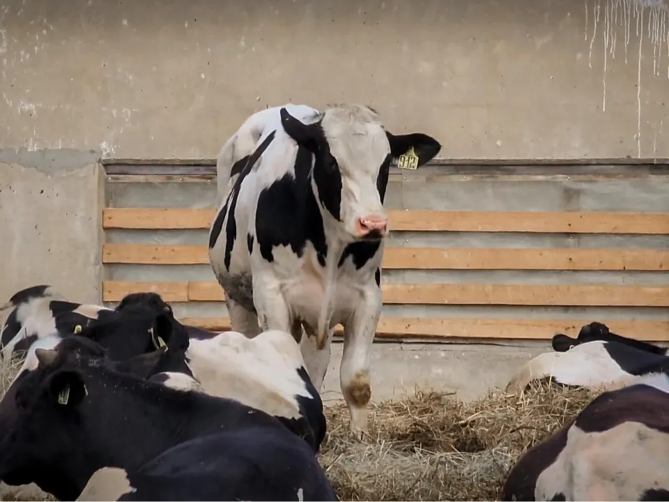 Фото: Ольга Антонова