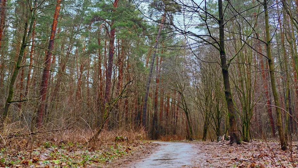 Фото: REGIONS/Алексей Селиверстов