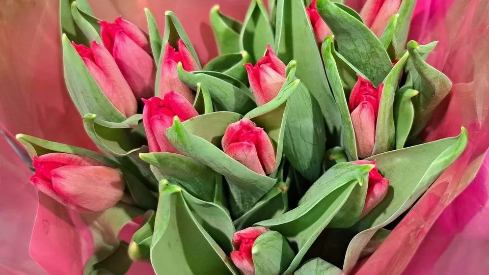 REGIONS/Татьяна Замятина