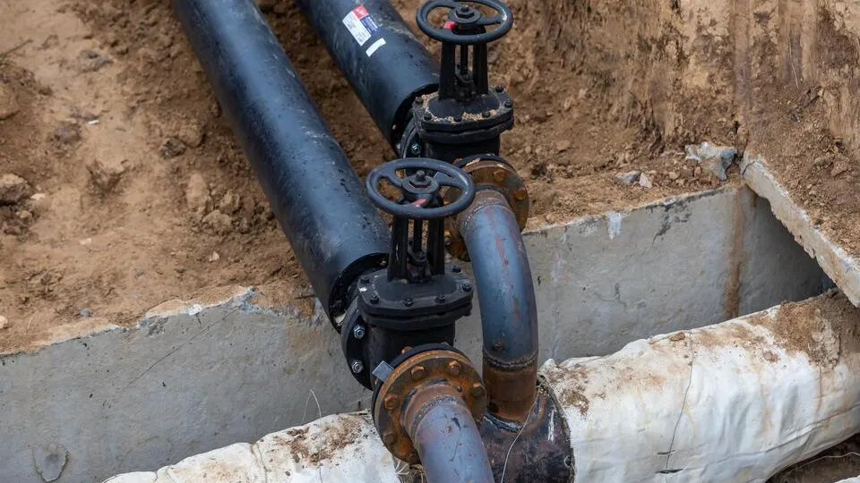 Фото: пресс-служба администрации г.о. Кашира