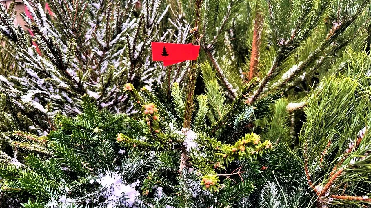 Фото: пресс-служба министерства сельского хозяйства и продовольствия Московской области