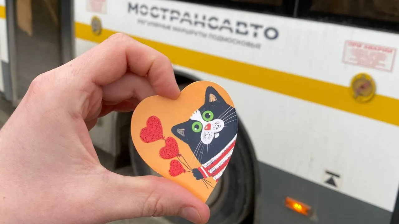 Жителям Подмосковья рассказали о самых романтических маршрутах Мострансавто