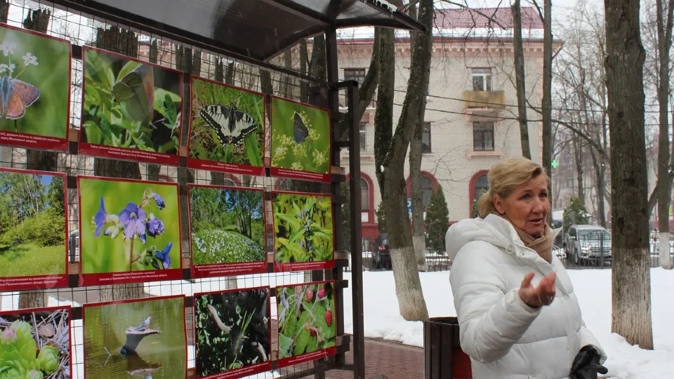 Фото: vk.com/Историко-культурный отдел МАУ «ДК «Видное»