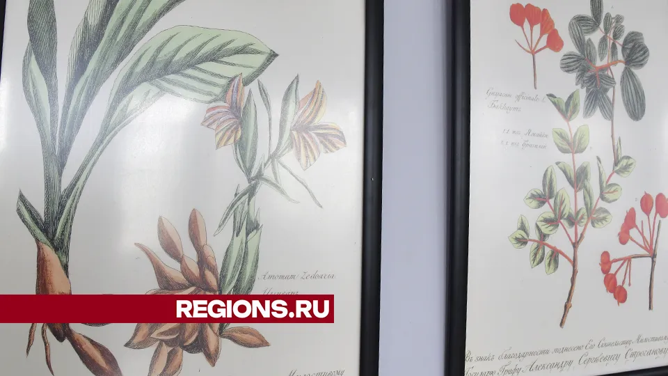 Фото: REGIONS/Наталья Бычкова