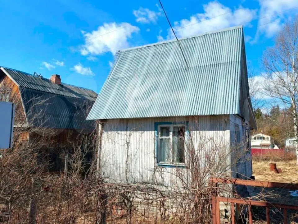 Фото: городская доска объявлений&nbsp;