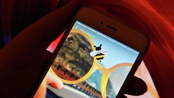 Эксперт рассказал, какую информацию нельзя размещать в свободном доступе в соцсетях