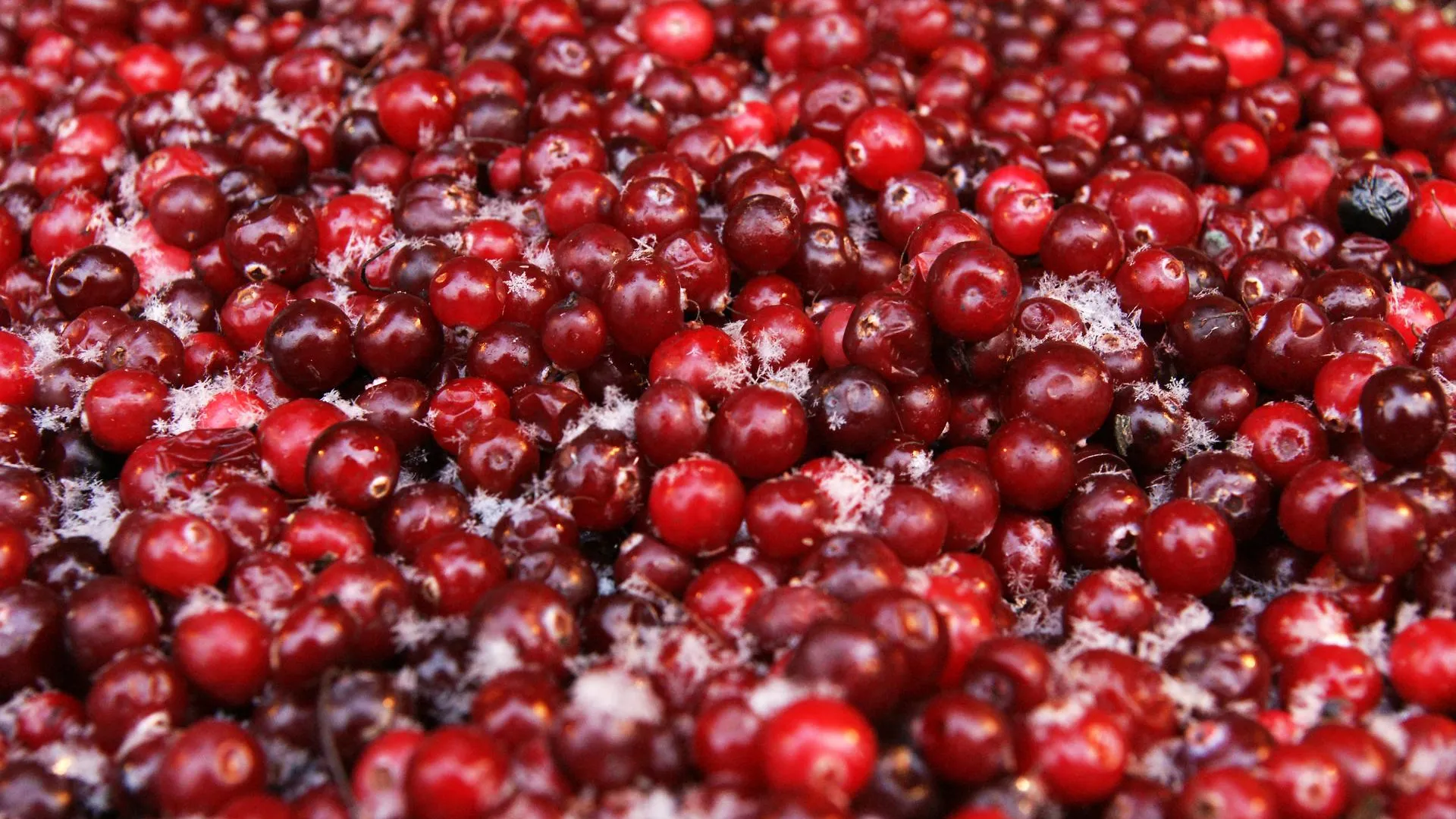 Aleksey Smyshlyaev/Global Look Press