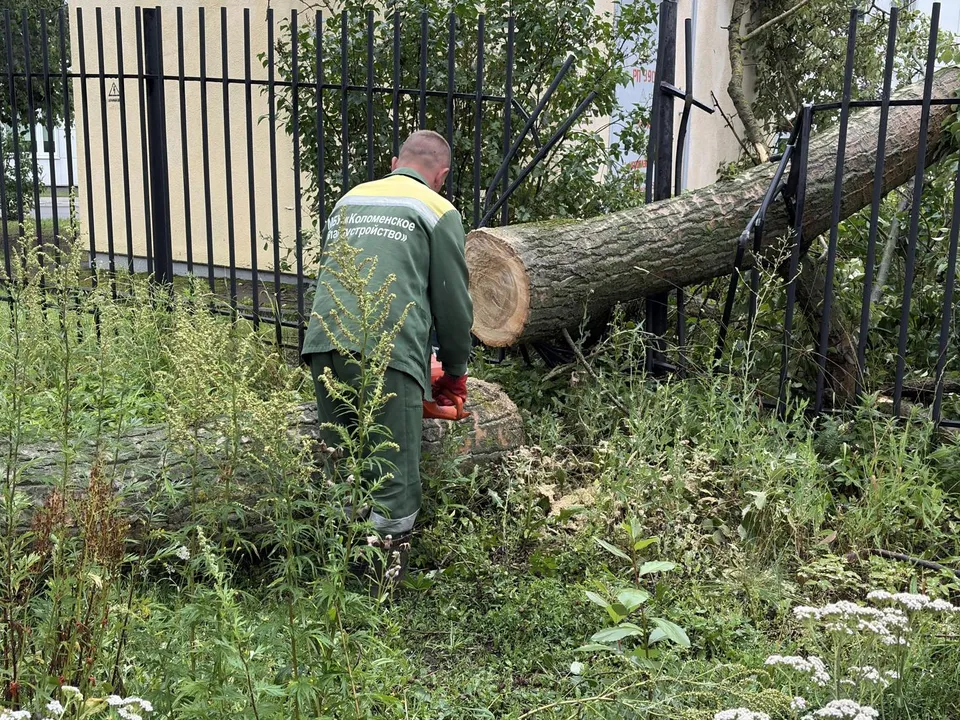 Фото: Анна Нестерова