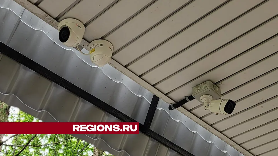 Фото: Дмитрий Алексеенко