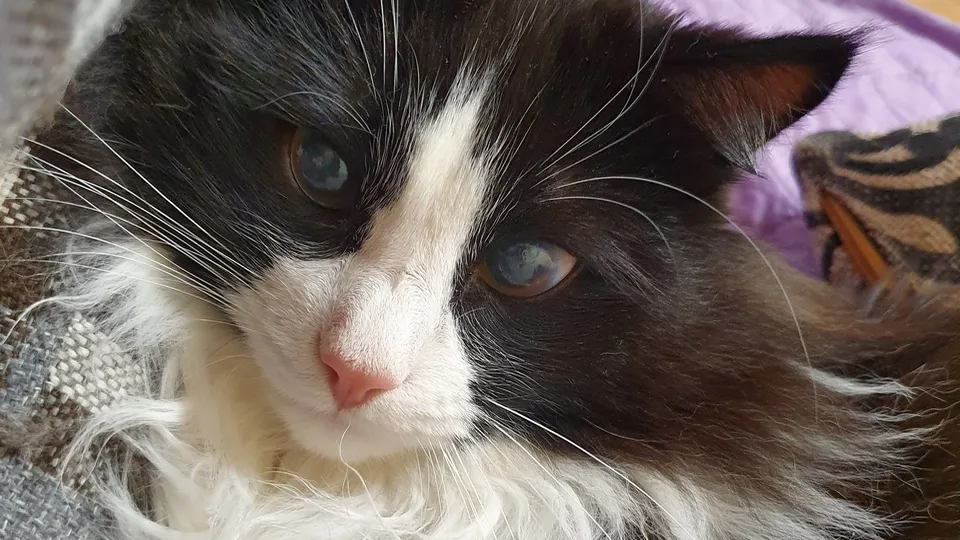 Фото: REGIONS/Александр Дрожжин