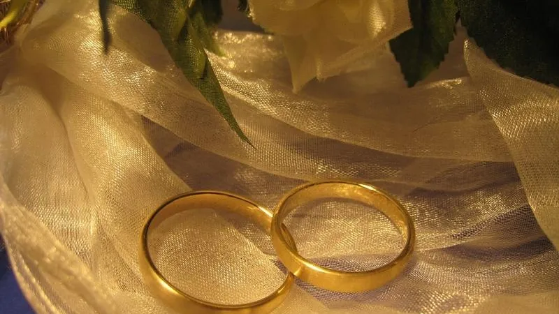 Двадцать восемь тысяч браков заключили в МО за 7 месяцев 2018 года