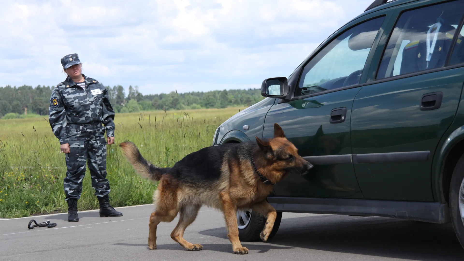 Импортные машины в России пересадят на отечественную «Аврору» — Минпромторг готовит новое требование