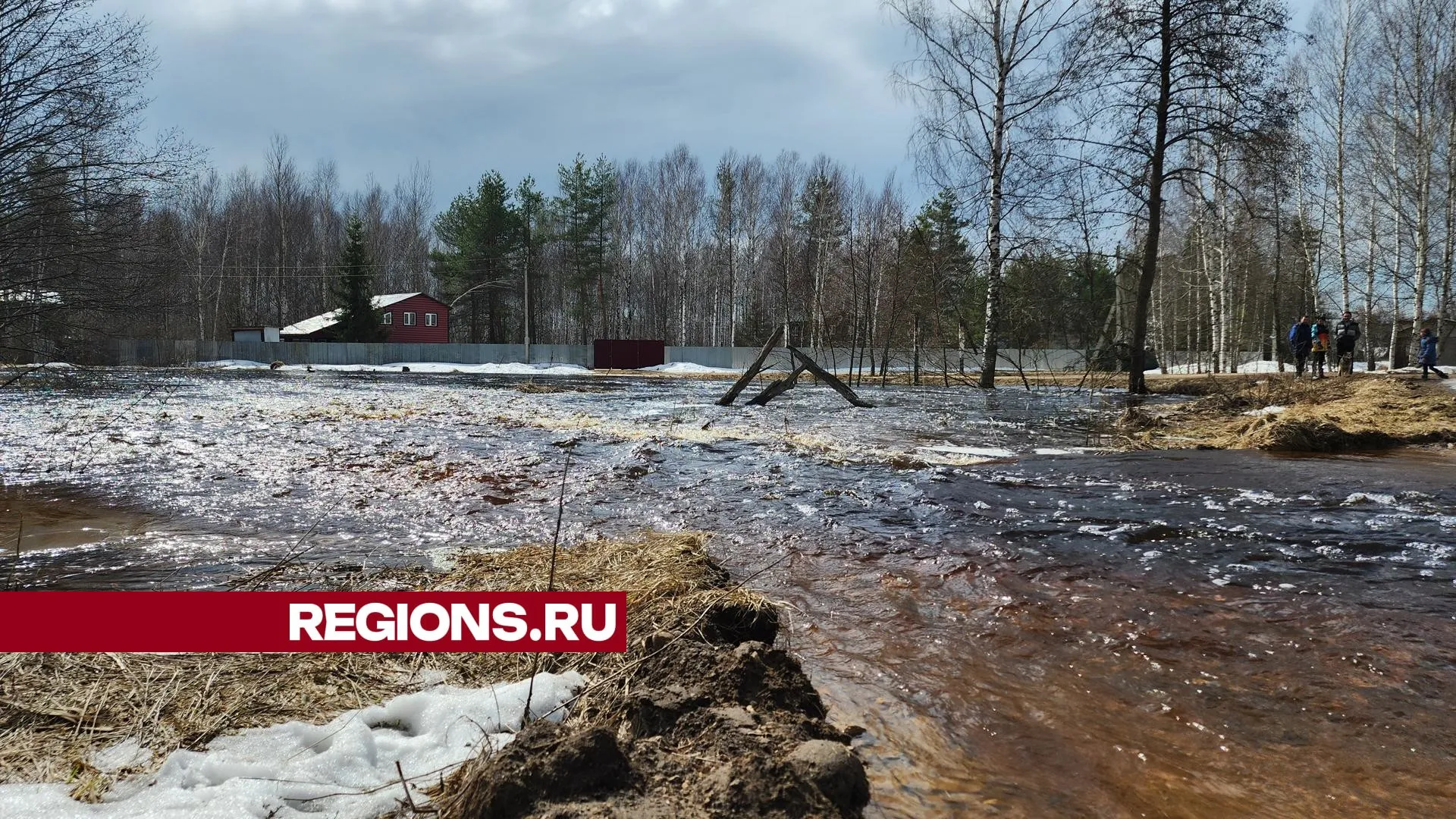 Фото: Юлия  Андросова