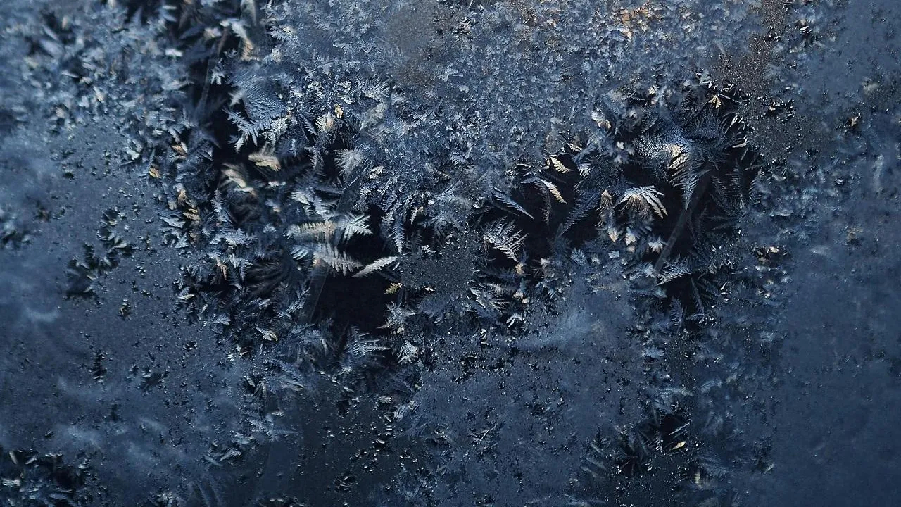 «Оранжевый» уровень погодной опасности объявили в Подмосковье из-за заморозков