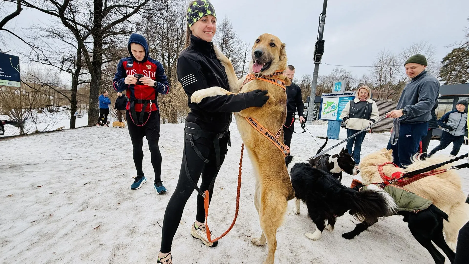 МедиаБанк Подмосковья/Ольга Стаферова