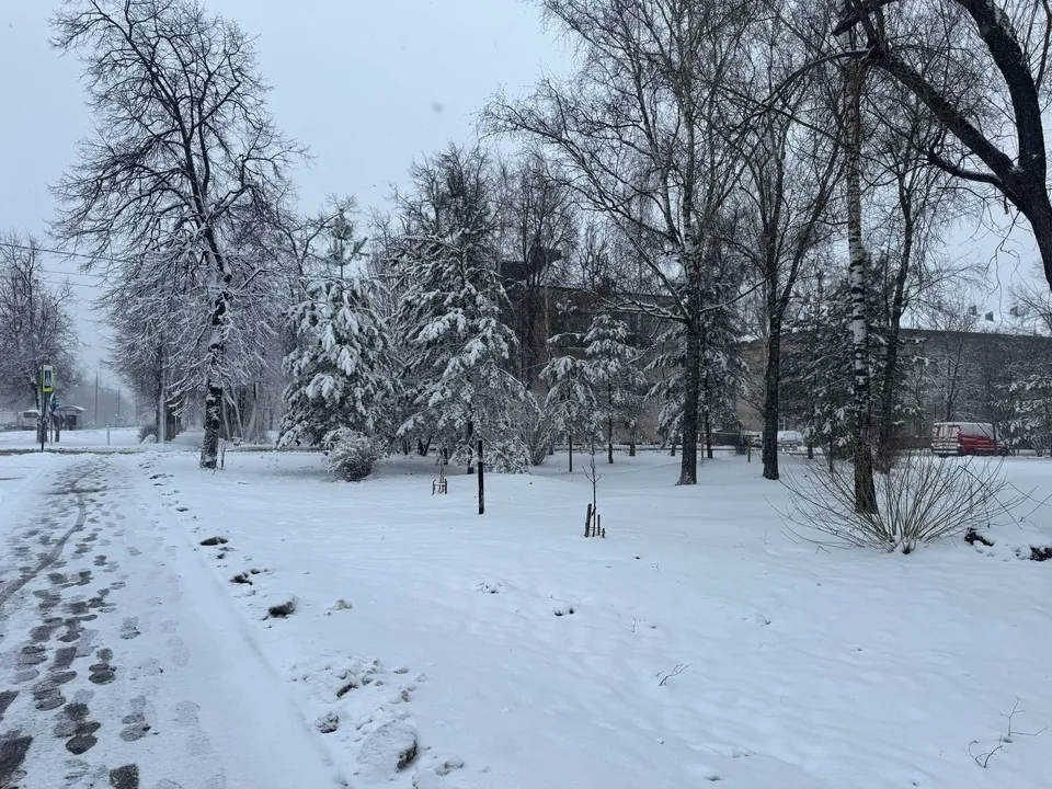 Фото: Оксана Ефремова