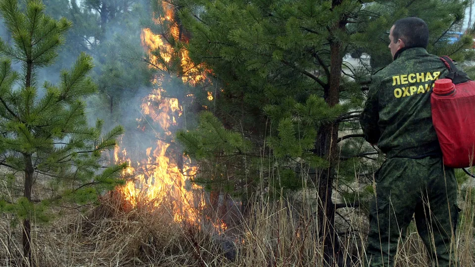 Фото: медиасток.рф