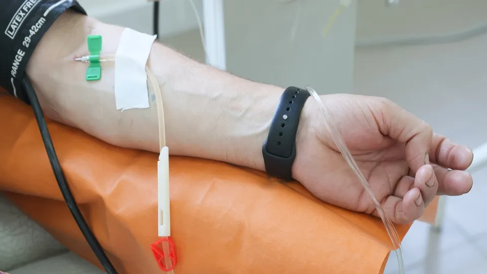 Фото: ТАСС/Дмитрий Ягодкин