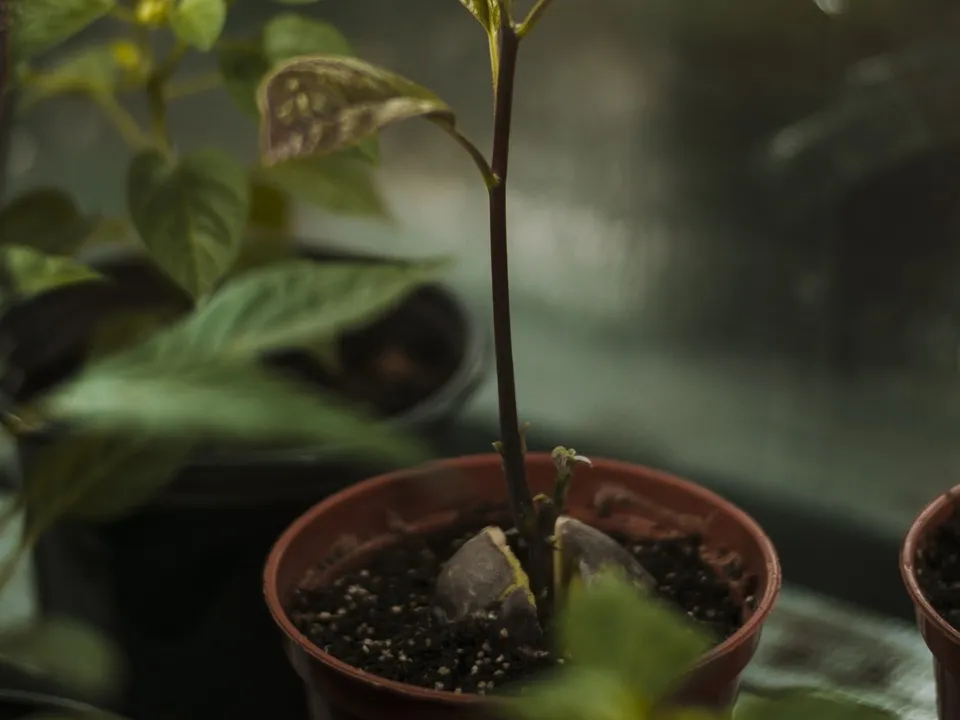 Фото:&nbsp;freepik.com