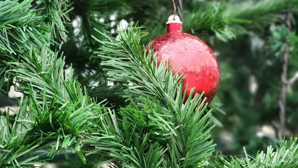 Фото: МедиаБанк Подмосковья/Ксения Пашуто