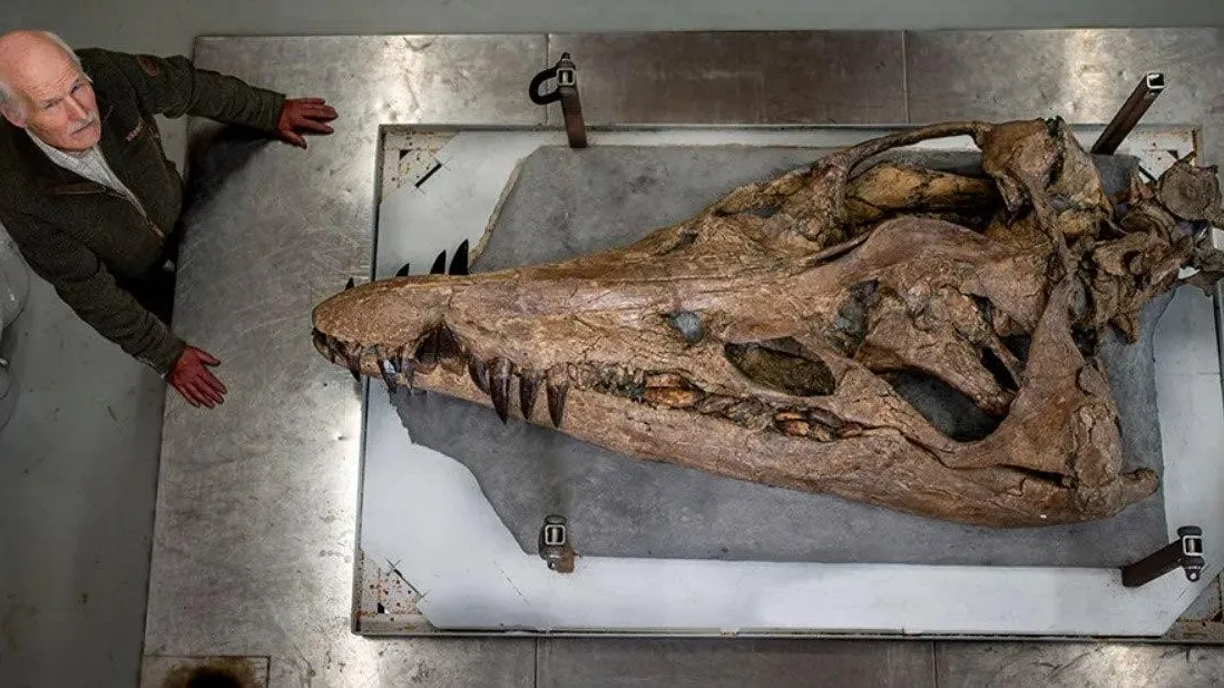 Фото из соцсетей