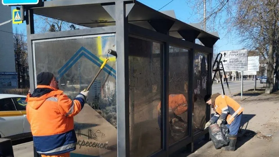 Фото: REGIONS/Светлана Плотникова