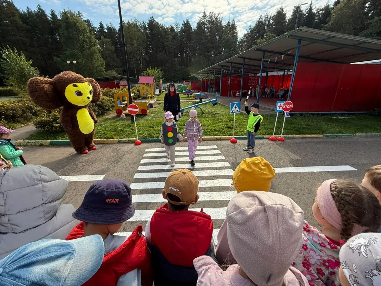 Фото: ГИБДД Наро-Фоминска&nbsp;