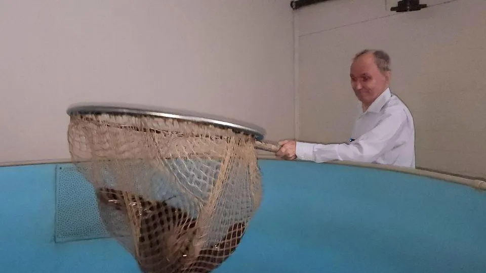 Фото: МедиаБанк Подмосковья/Анна Шолохова