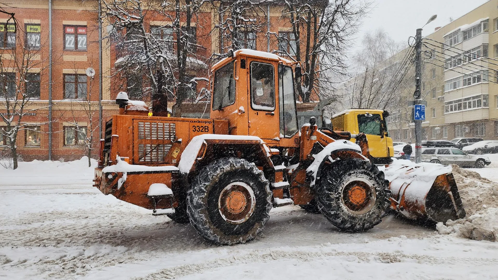 Хавива Фонина