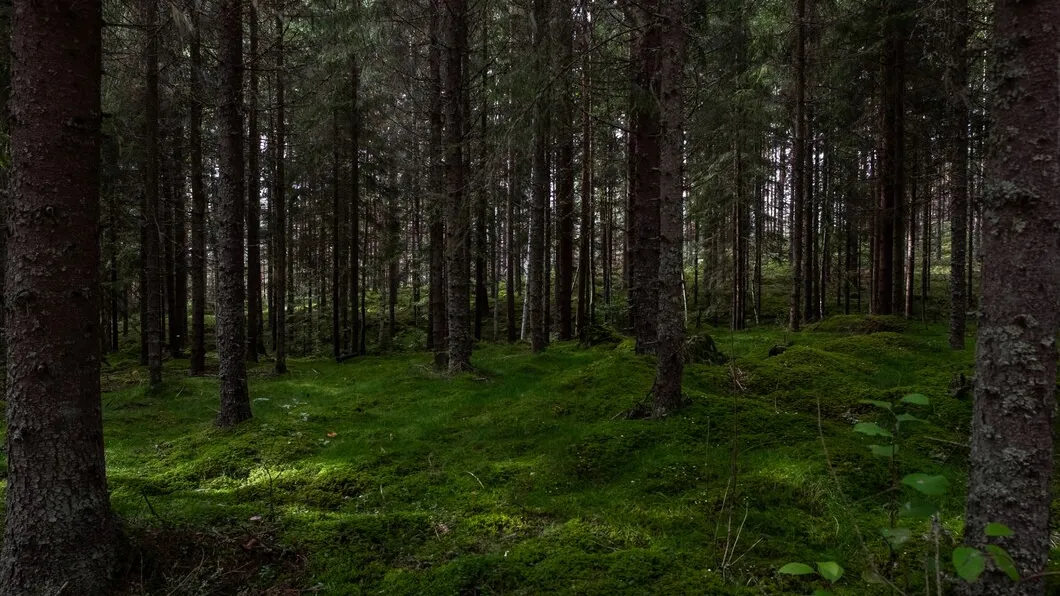 Фото: freepik.com