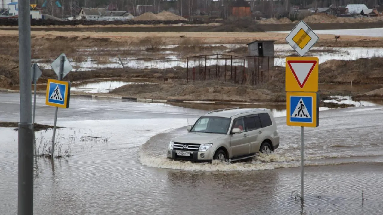 Медиаархив Подмосковья