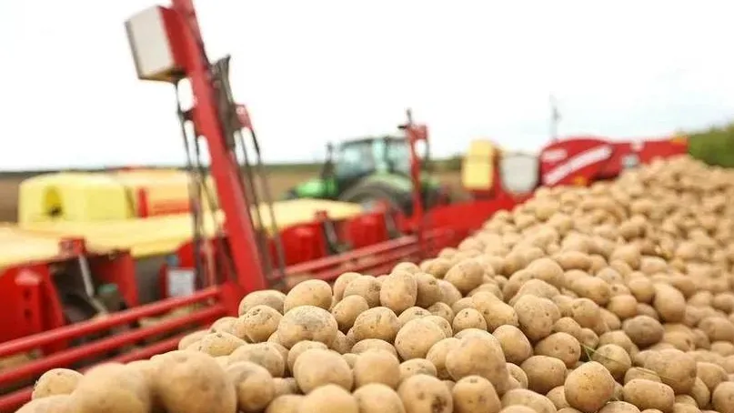 Фото: Минсельхозпрод МО