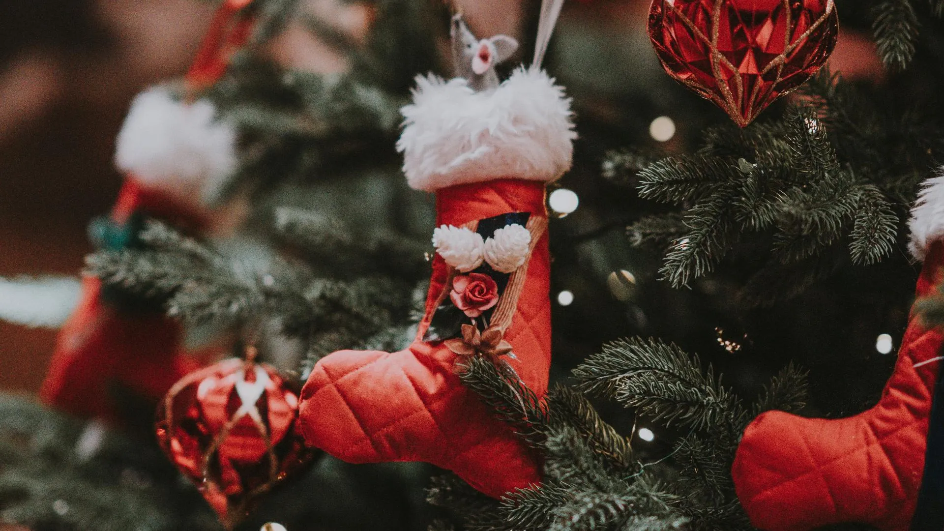 REGIONS/Дмитрий Некрасов