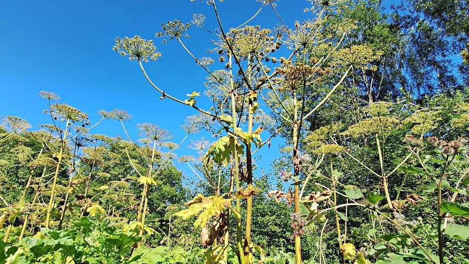 Фото: Римма Громова