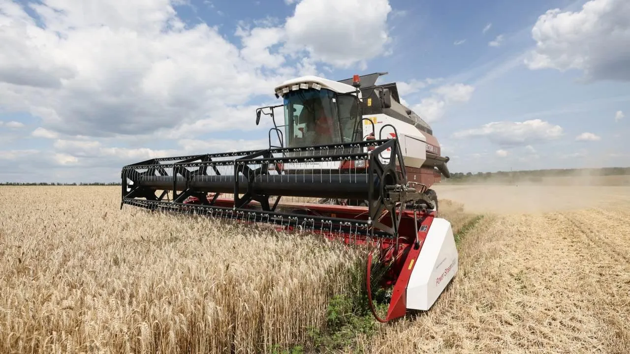 Пять стран Европы попросили ЕК продлить запрет на ввоз украинского года