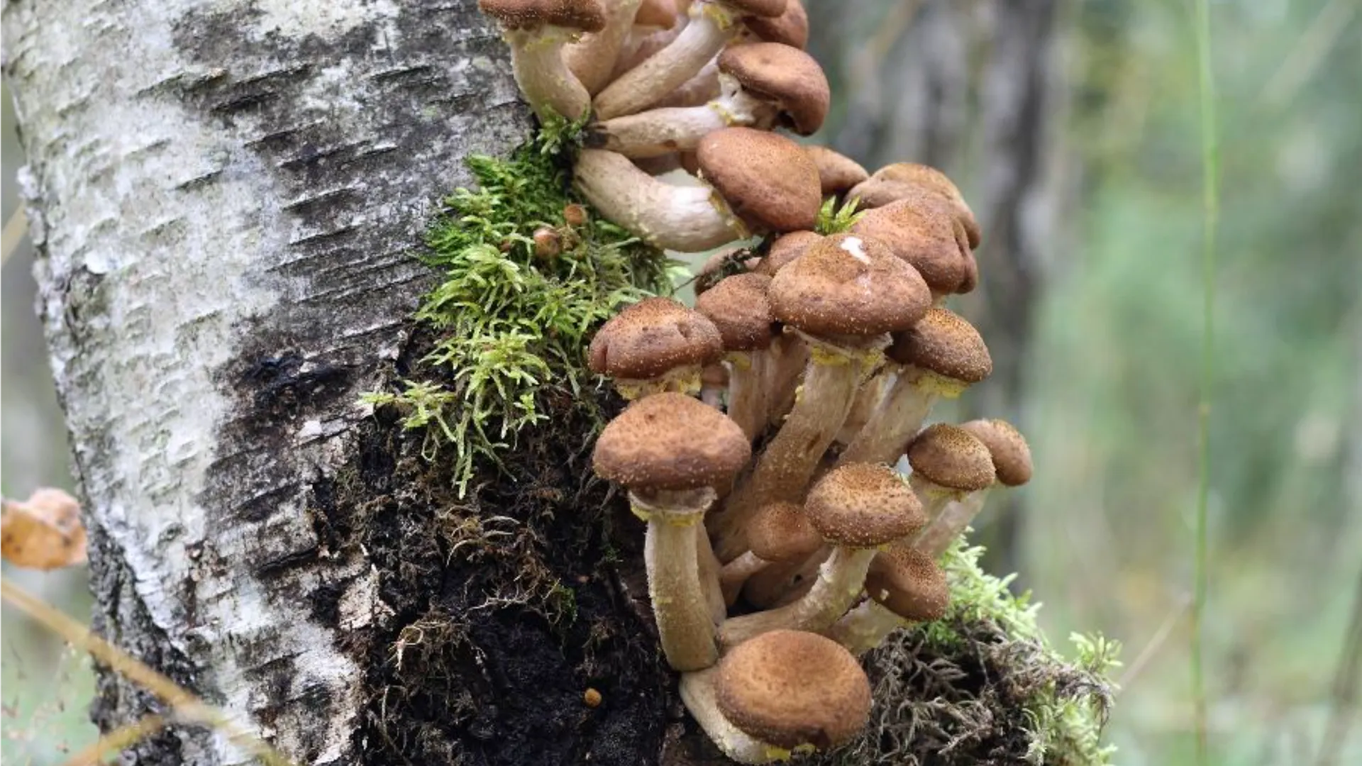 Фото: istockphoto.com/Pobytov