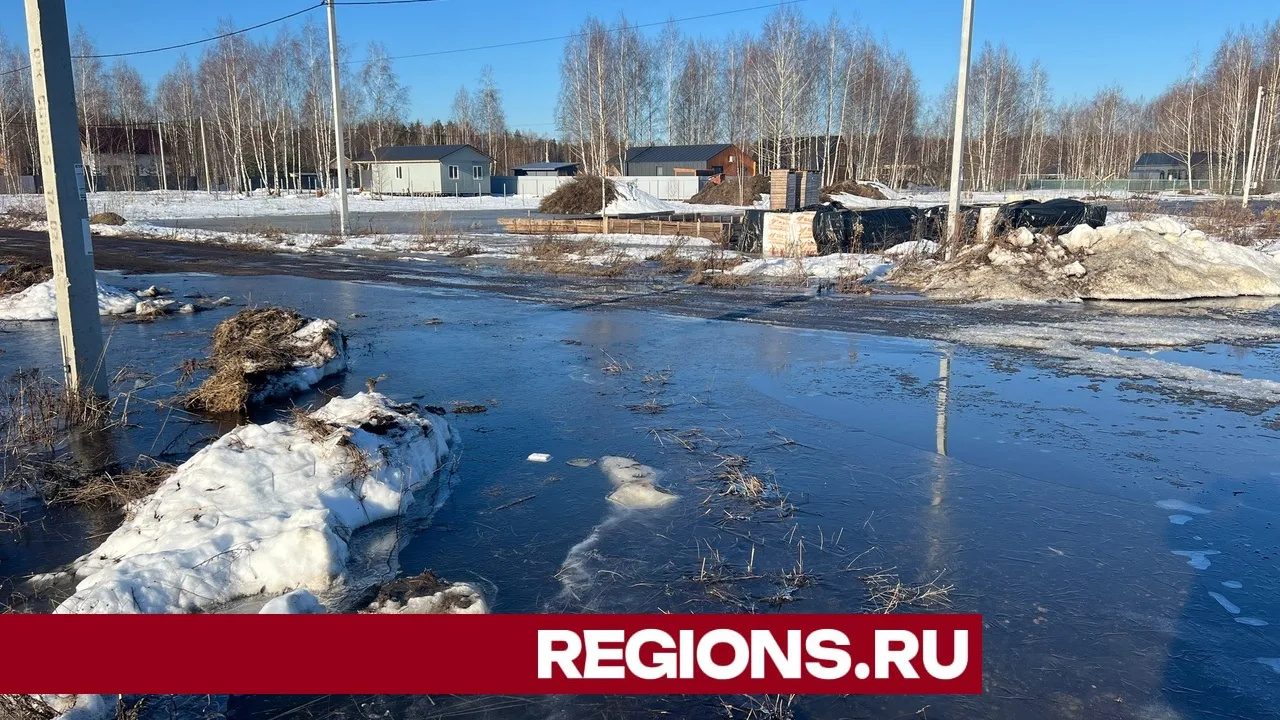 Фото: Сергей Моркунцов