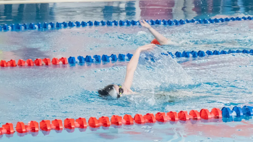 Фото: МедиаБанк Подмосковья/Владимир Думчев