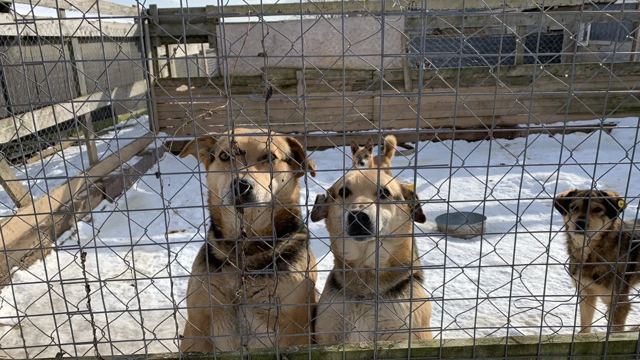 Фото: личный архив Натальи Пановой