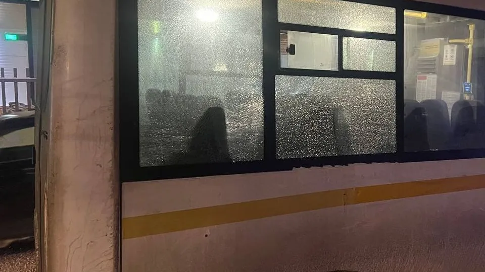 Фото: t.me/gumvd50