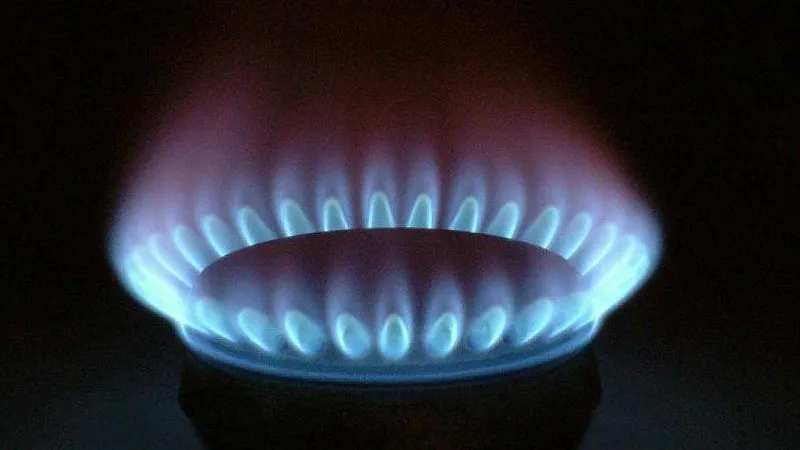 Белоруссия договорилась с Россией о поставках газа на следующий год