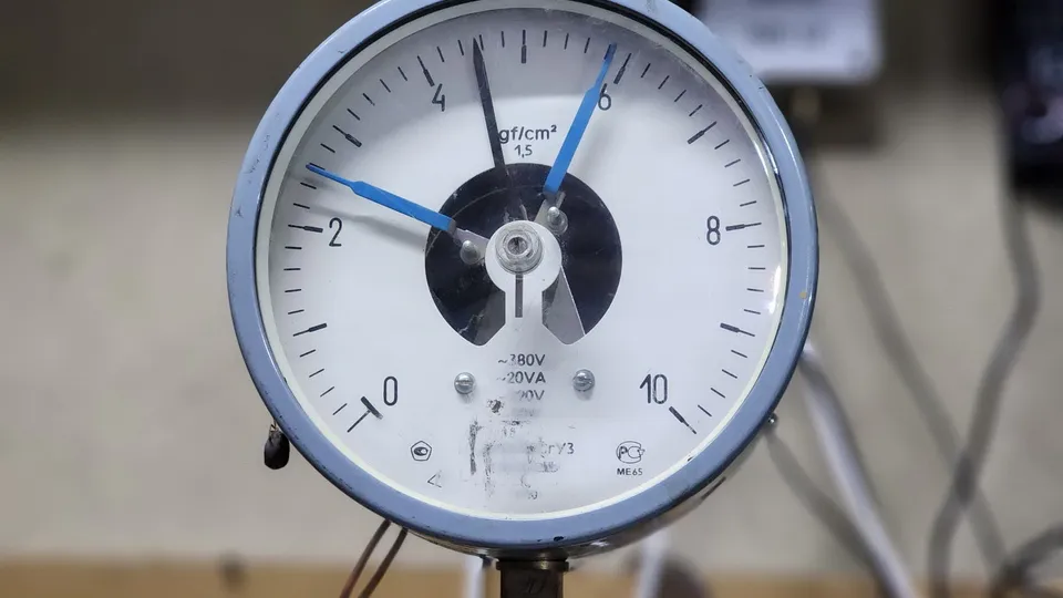 Фото: МедиаБанк Подмосковья/Ксения Пашуто