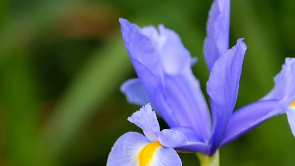 Фото: freepik.com