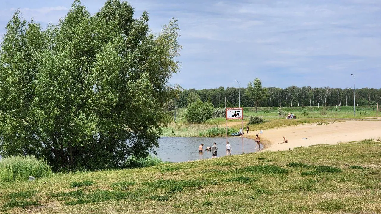 Фото: Медиабанк Подмосковья/Светлана Плотникова