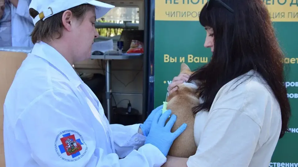 Фото: пресс-служба Министерства сельского хозяйства и продовольствия Московской области