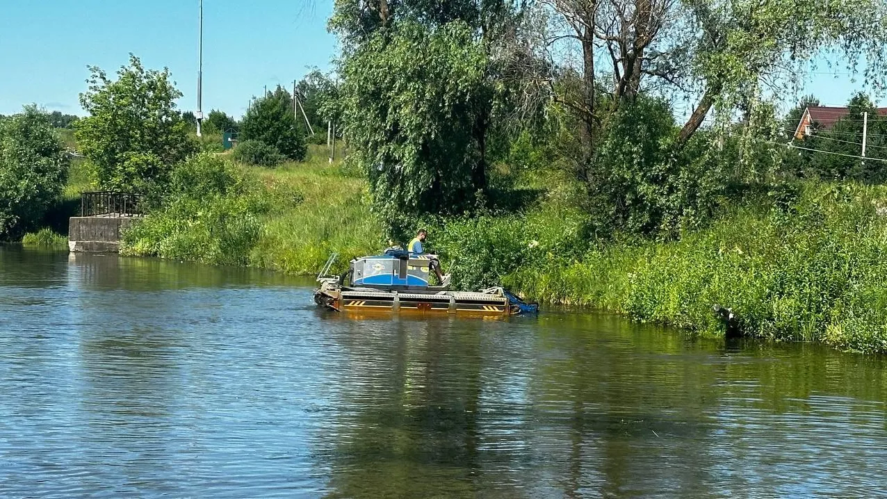 Фото: Министерство экологии и природопользования МО